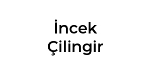 Untitled-1_0004_İncek Çilingir